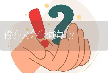 俊介犬会生狗狗吗？