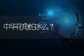 中华花龟怕水么？