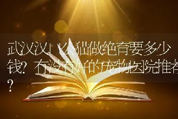 武汉汉口公猫做绝育要多少钱？有没有好的宠物医院推荐？