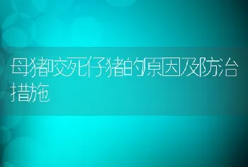 母猪咬死仔猪的原因及防治措施