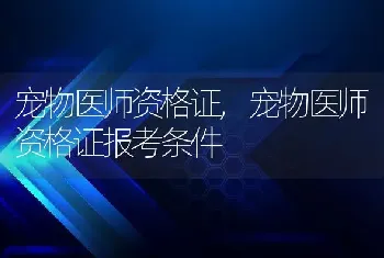 宠物医师资格证，宠物医师资格证报考条件