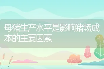 母猪生产水平是影响猪场成本的主要因素