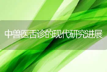 养南美白对虾如何节省饲料成本