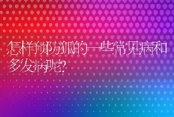 怎样预防狐的一些常见病和多发病呢？