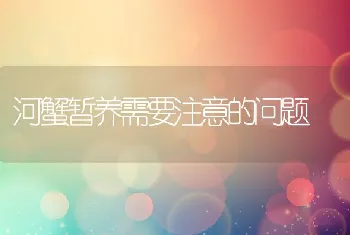 河蟹暂养需要注意的问题