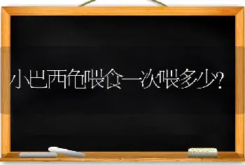 最有效的狗狗催吐办法？