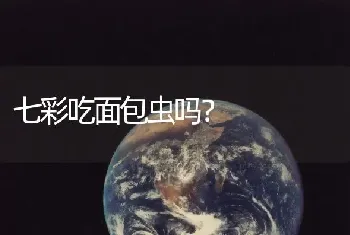 血鹦鹉头朝下怎么回事？