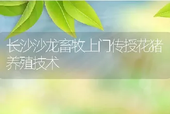 鳜鱼的养殖技术