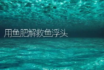 用鱼肥解救鱼浮头