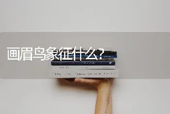 画眉鸟象征什么？