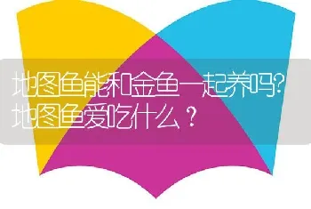 地图鱼能和金鱼一起养吗？地图鱼爱吃什么？