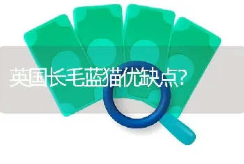 英国长毛蓝猫优缺点？