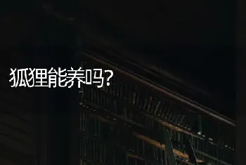 狐狸能养吗？