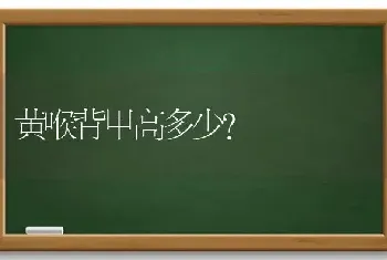 黄喉背甲高多少？