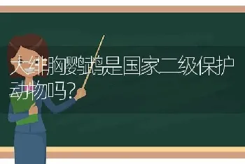 大绯胸鹦鹉是国家二级保护动物吗？