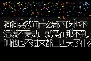 狗狗突然间什么都不吃也不活泼不爱动，就爬在那不到，叫他也不过来都三四天了什么都不吃怎么回事啊？