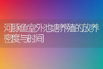 河豚鱼室外池塘养殖的放养密度与时间