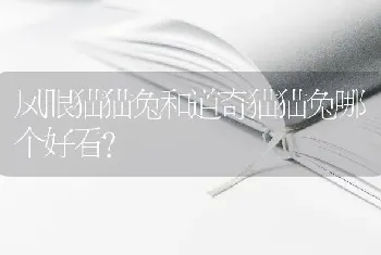 凤眼猫猫兔和道奇猫猫兔哪个好看？