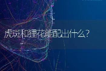 小狗得细小病毒不拉是不是好了六个小时没拉能喝水吗？