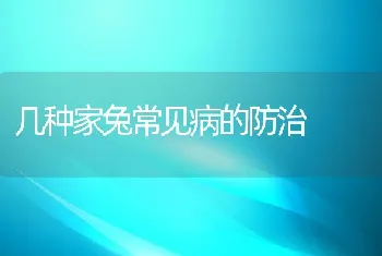 几种家兔常见病的防治