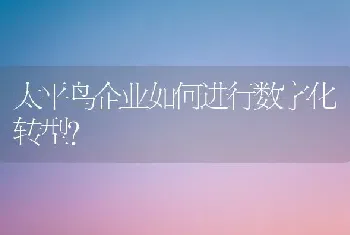 太平鸟企业如何进行数字化转型？