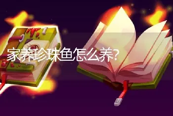 家养珍珠鱼怎么养？