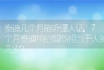 泰迪几个月能听懂人话，7个月泰迪狗的智商相当于人的几岁？