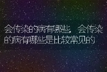 会传染的病有哪些，会传染的病有哪些是比较常见的