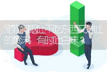 宠物狗呕吐不吃东西又是吐的黄沫，有时吐白沫？