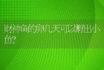 财神鱼的卵几天可以孵出小鱼？