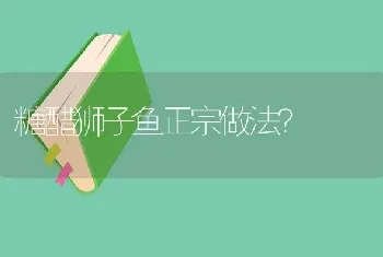 糖醋狮子鱼正宗做法？