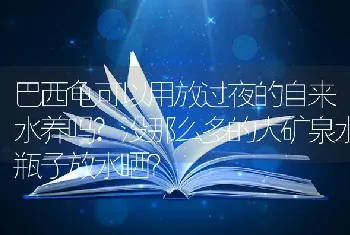 巴西龟可以用放过夜的自来水养吗?没那么多的大矿泉水瓶子放水晒？