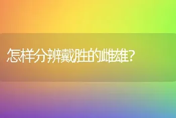 怎样分辨戴胜的雌雄？