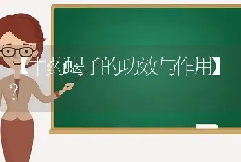 【中药蝎子的功效与作用】？