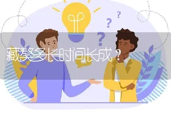 藏獒多长时间长成？