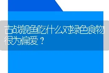 古战舰鱼吃什么对绿色食物很为偏爱？