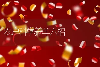 无公害肉鸽饲养管理技术