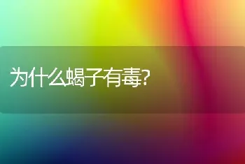 比熊狗狗叫什么名字好呢？