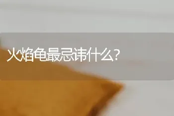 火焰龟最忌讳什么？