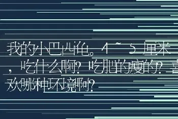 我的小巴西龟。4~5厘米，吃什么啊？吃肥的瘦的？喜欢哪种环境啊？