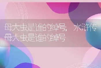 母大虫是谁的绰号，水浒传母大虫是谁的绰号