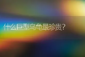 什么巨型乌龟最珍贵？