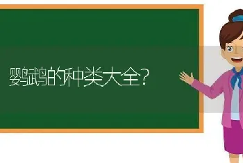 鹦鹉的种类大全？