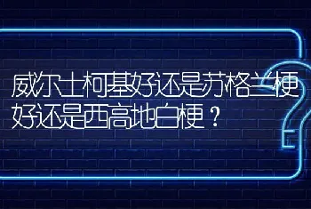 威尔士柯基好还是苏格兰梗好还是西高地白梗？