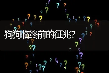 狗狗临终前的征兆？