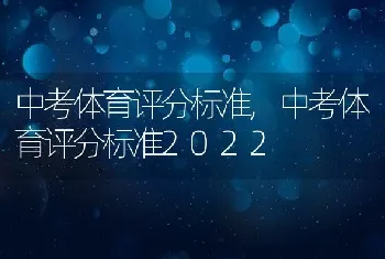 中考体育评分标准，中考体育评分标准2022