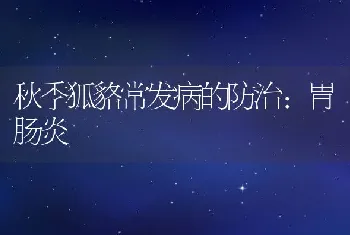 秋季狐貉常发病的防治：胃肠炎