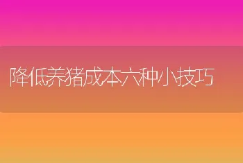 海参池塘养殖技术