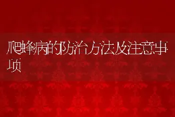 爬蜂病的防治方法及注意事项