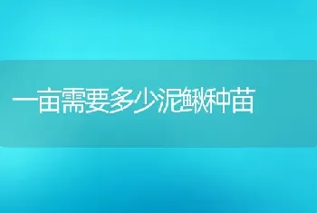 一亩需要多少泥鳅种苗